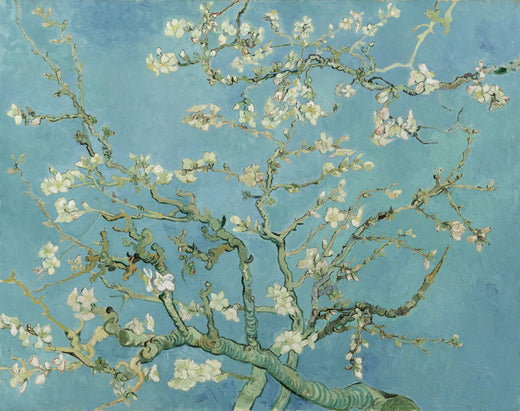 Almond Blossoms, 1888-1890