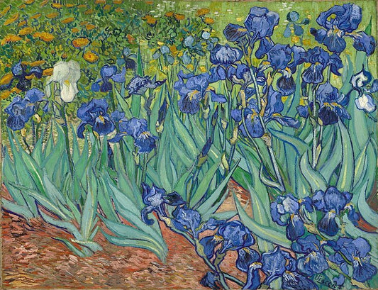 Irises, 1889