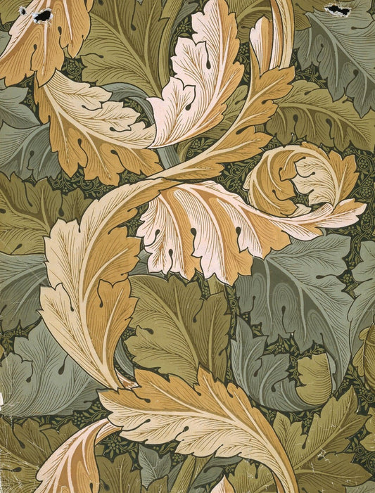 Acanthus, 1875